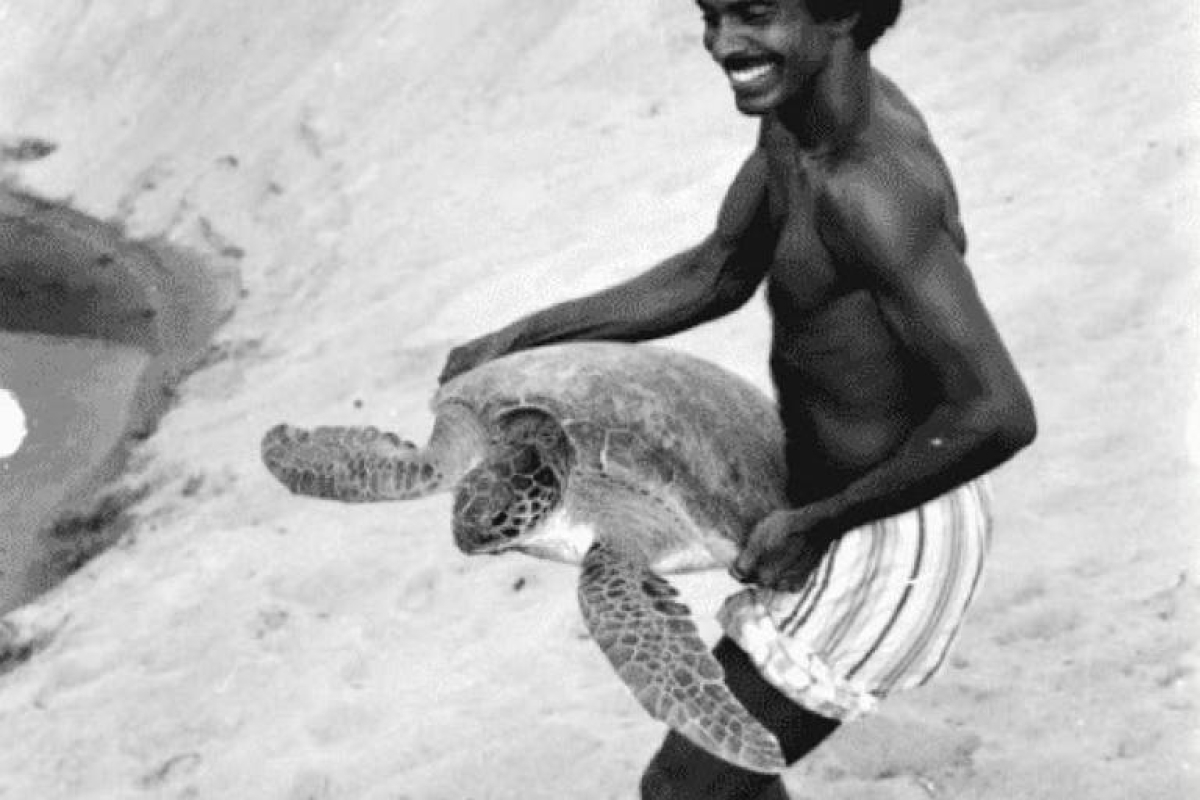 India's 'Turtle Man' Walked Much of the 7,516 km Coastline, Inspiring an Award-Winning Film in the US